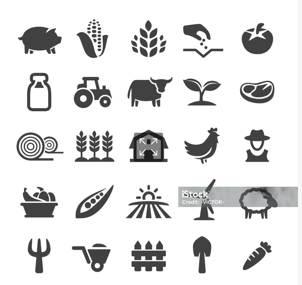 Farm tools and animals